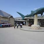 s美ら海水族館20131016