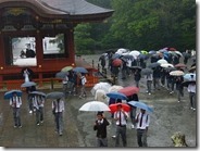 １５日鶴岡八幡宮で