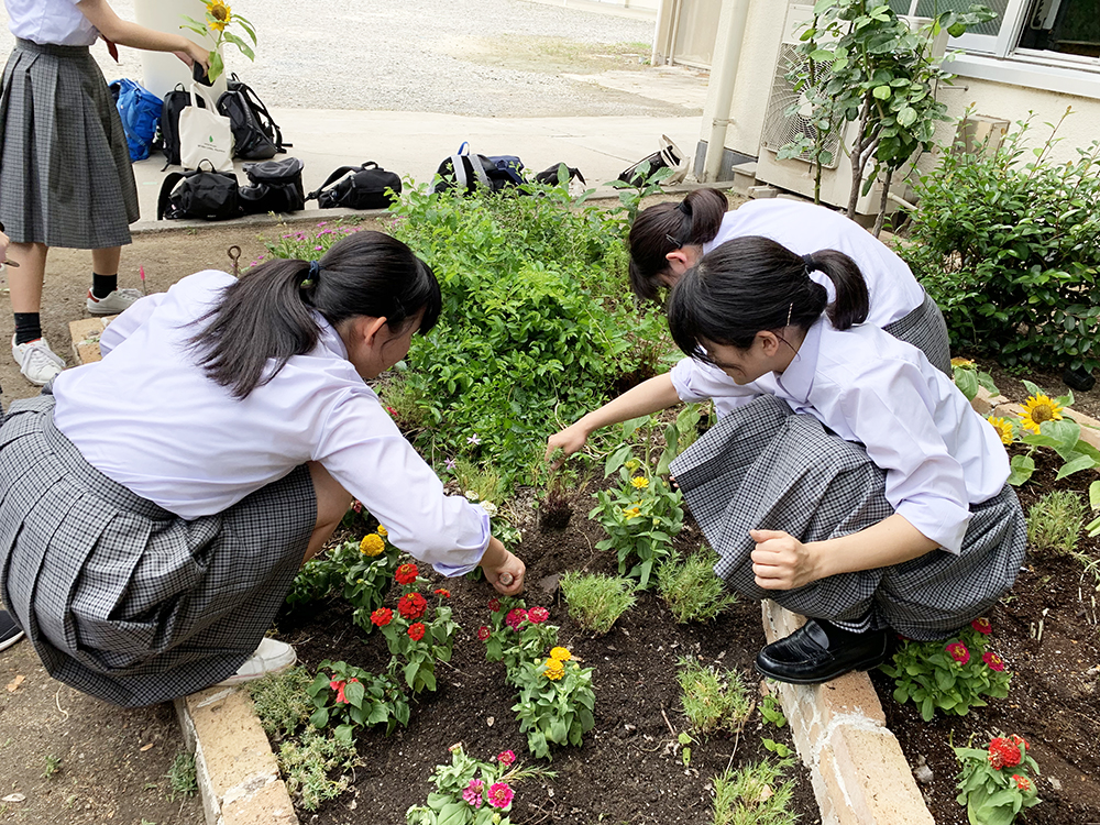 デザイン科 夏花壇 岡山工業高等学校 Blog